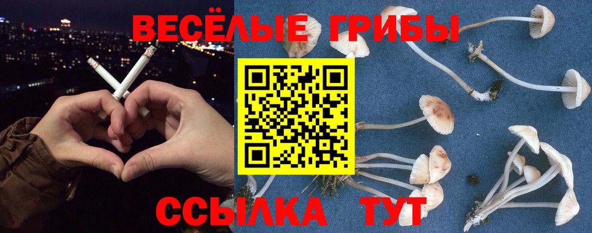 Галлюциногенные грибы MAGIC MUSHROOMS Псков