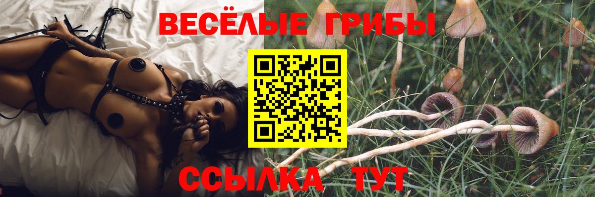 Галлюциногенные грибы Magic Shrooms  Вход с VPN  Псков 